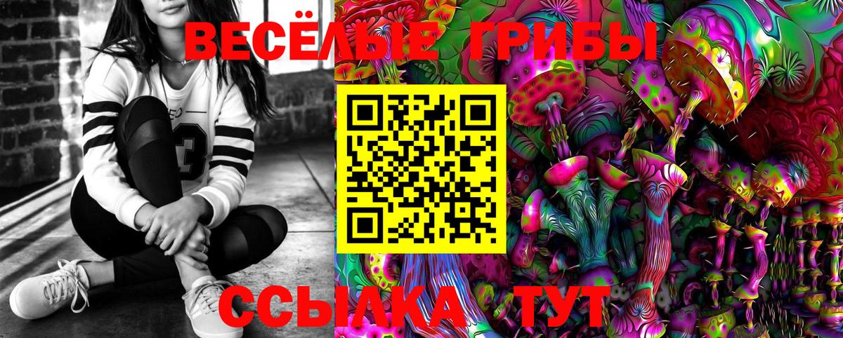 Псилоцибиновые грибы мухоморы  Вход с VPN  что такое   Сергиев Посад 